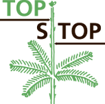 Top Stop