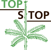 Top Stop